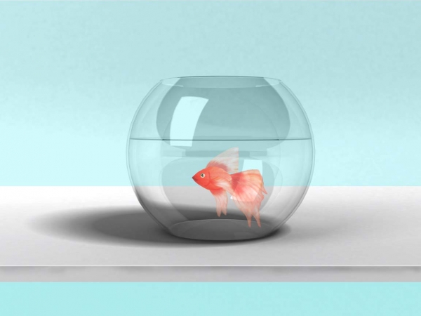 Creation of Fish bowl: Step 11